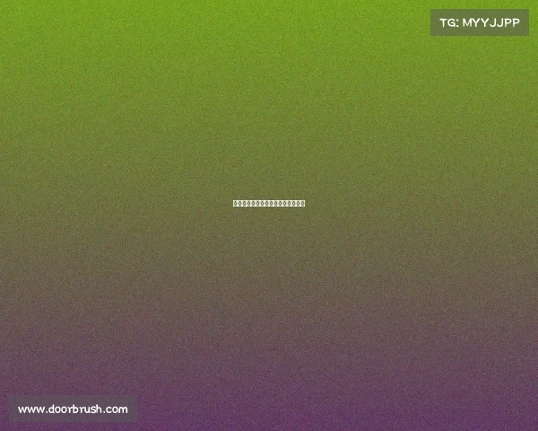 上海跑步赛事盛宴燃情申城活力飞扬